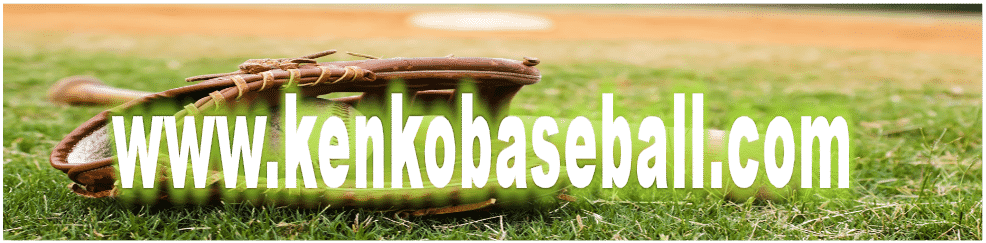 Kenko Baseball 5 - 417 Feet